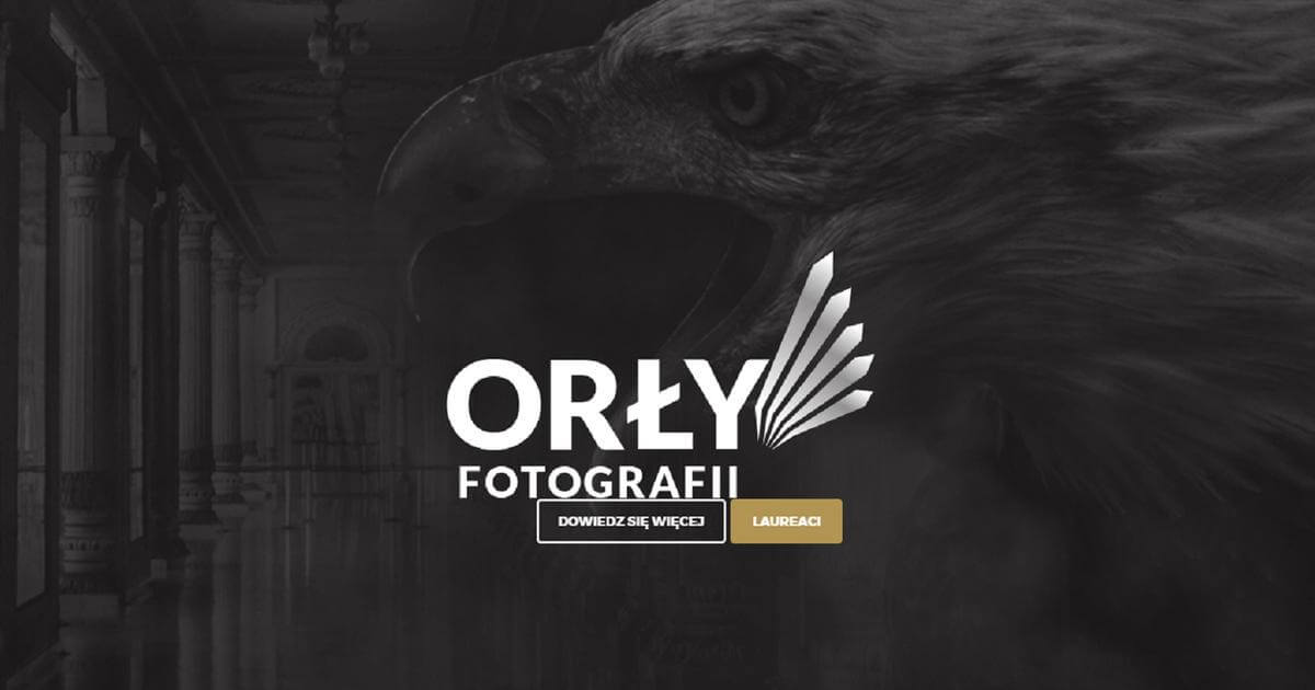 Orły-Fotografii-Monika-Lazniewska-Lodz